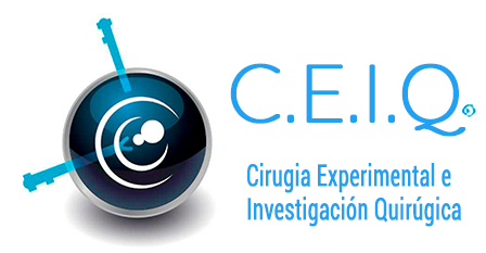 CEIQ_Logo